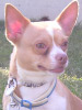 Paco Tupac Emanuel Hutton "MC Dog"