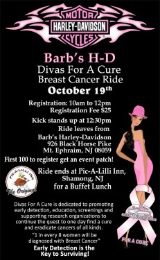 2013 Barb’s H-D Divas For A Cure Breast Cancer Ride